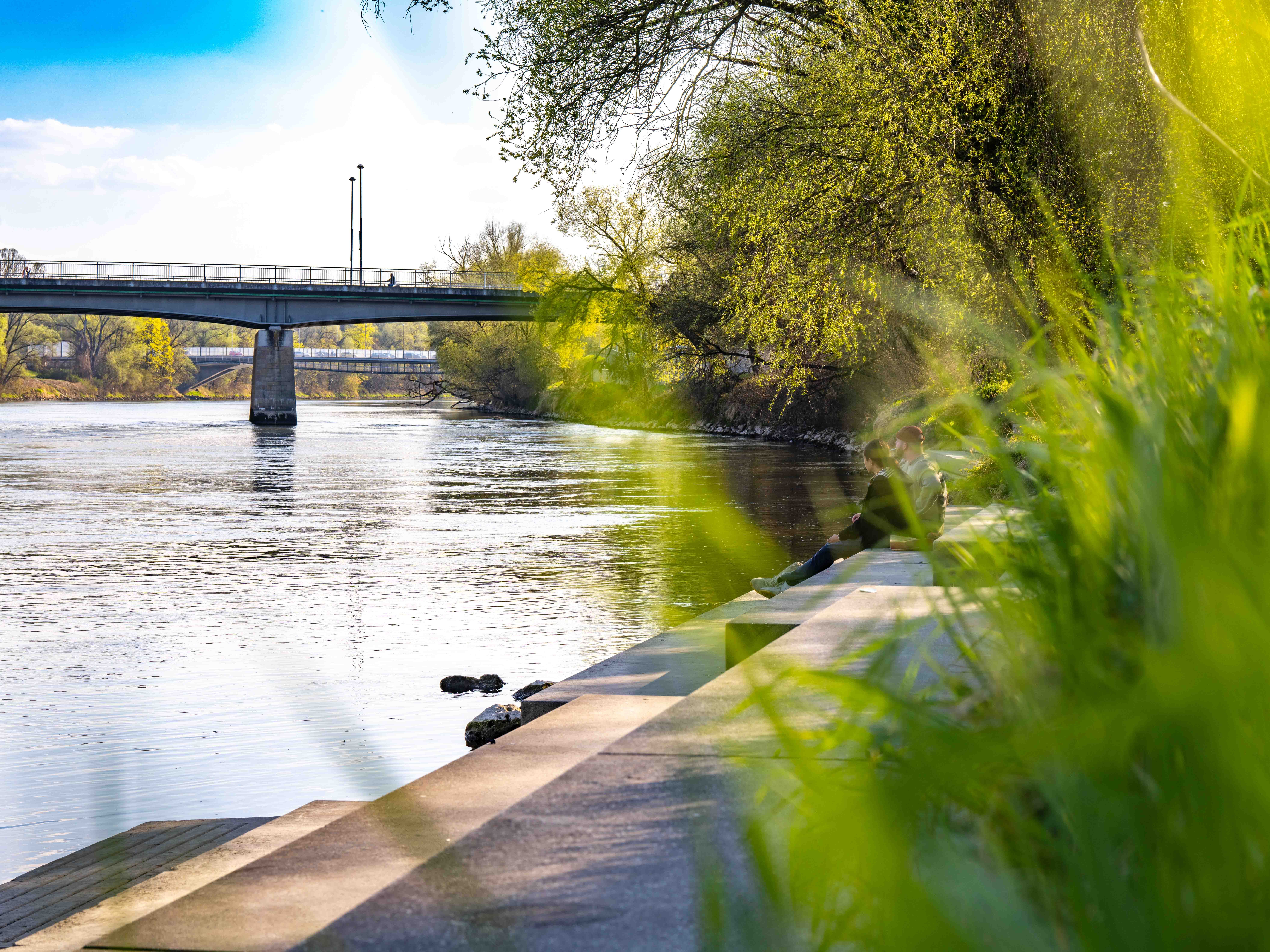 Image for Entlang der Donau