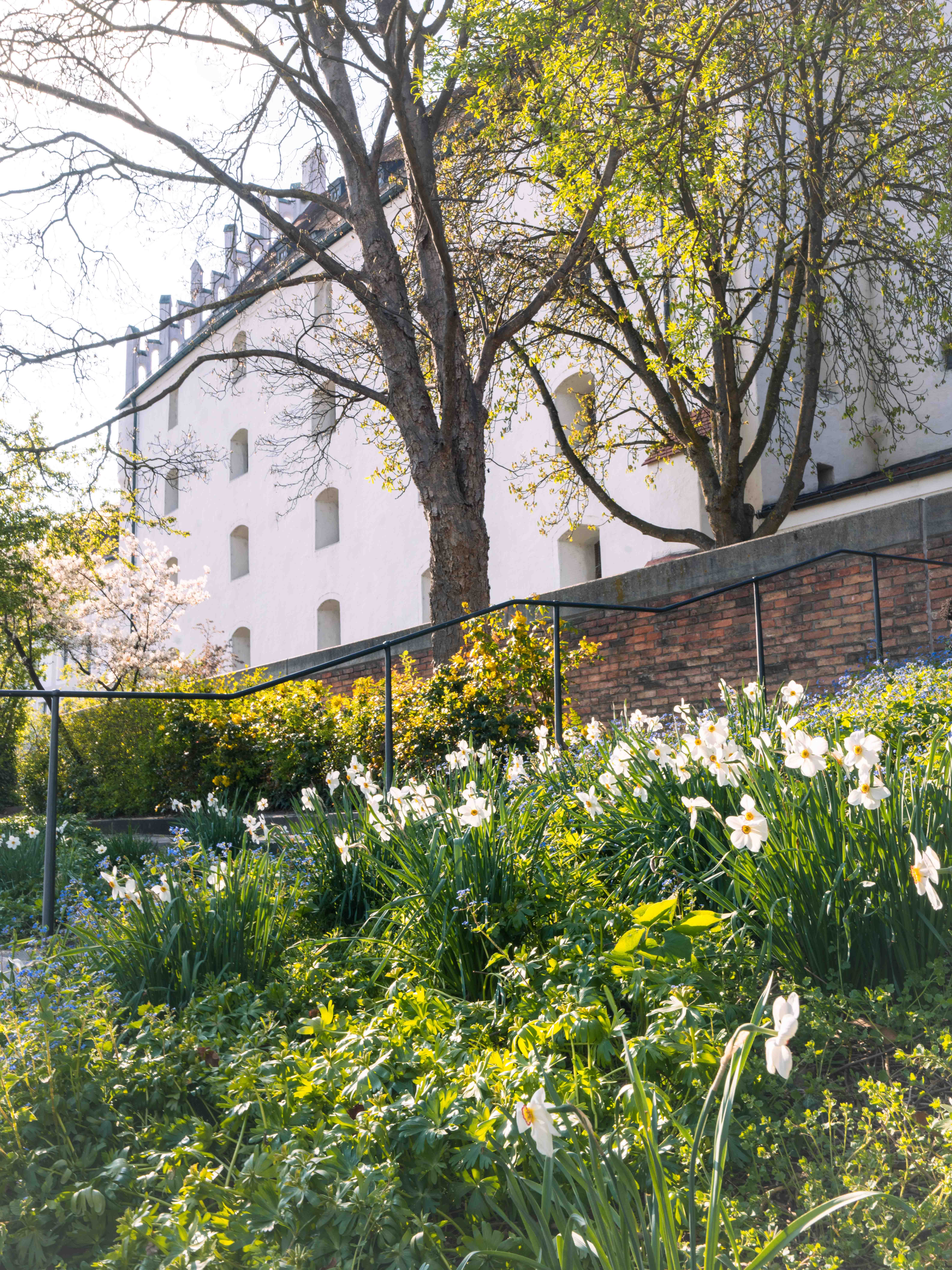 Image for Herzogskasten