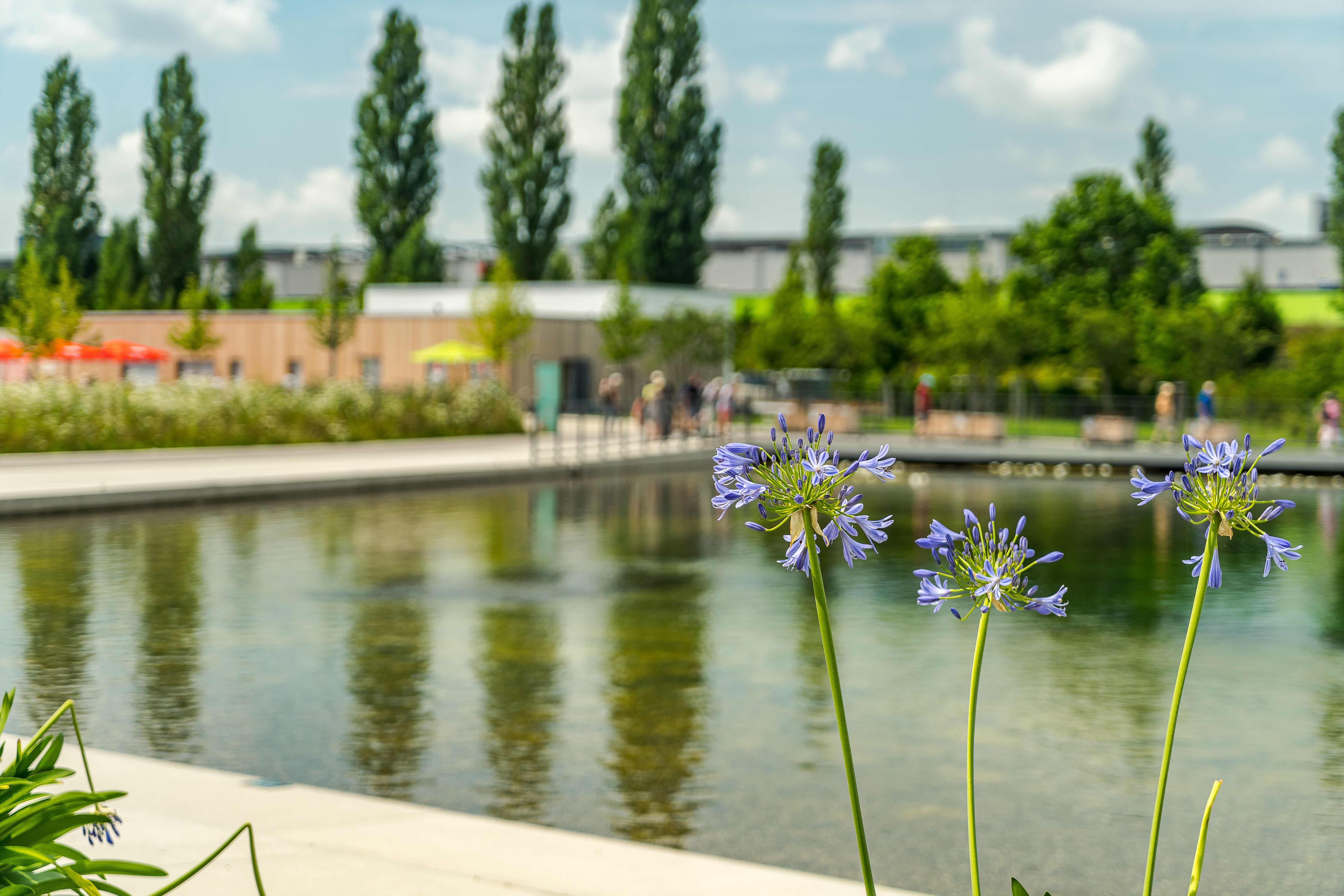 Impression 8 für Nachbericht Ingolstädter Stadtrunde