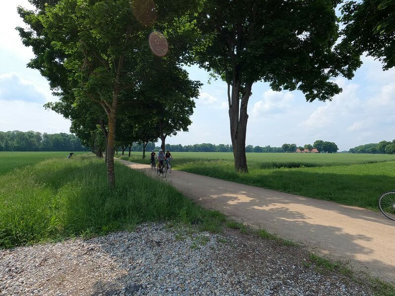 Impression 14 für Nachbericht Der Donauradweg