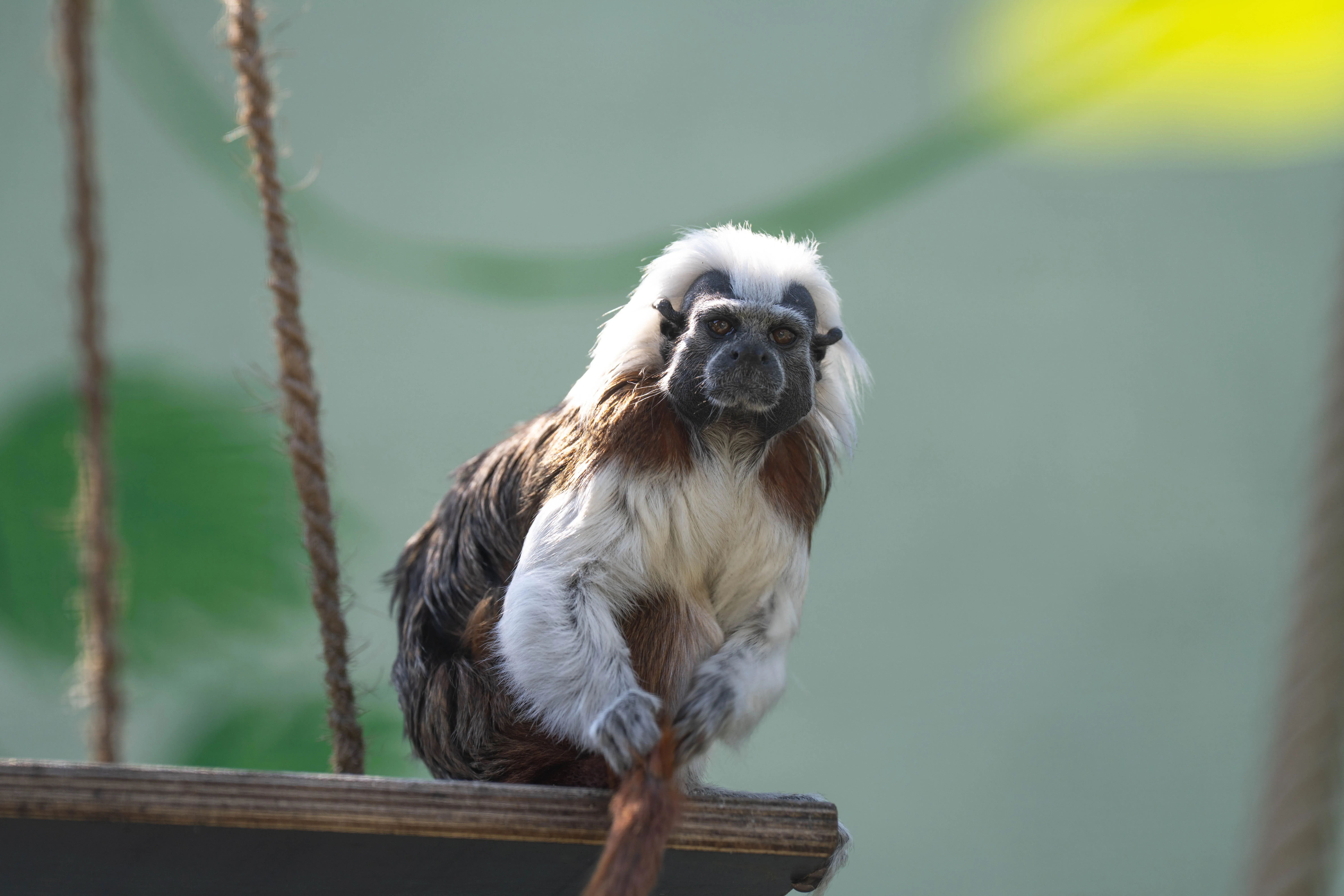 Impression 2 für Nachbericht Zoo Wasserstern