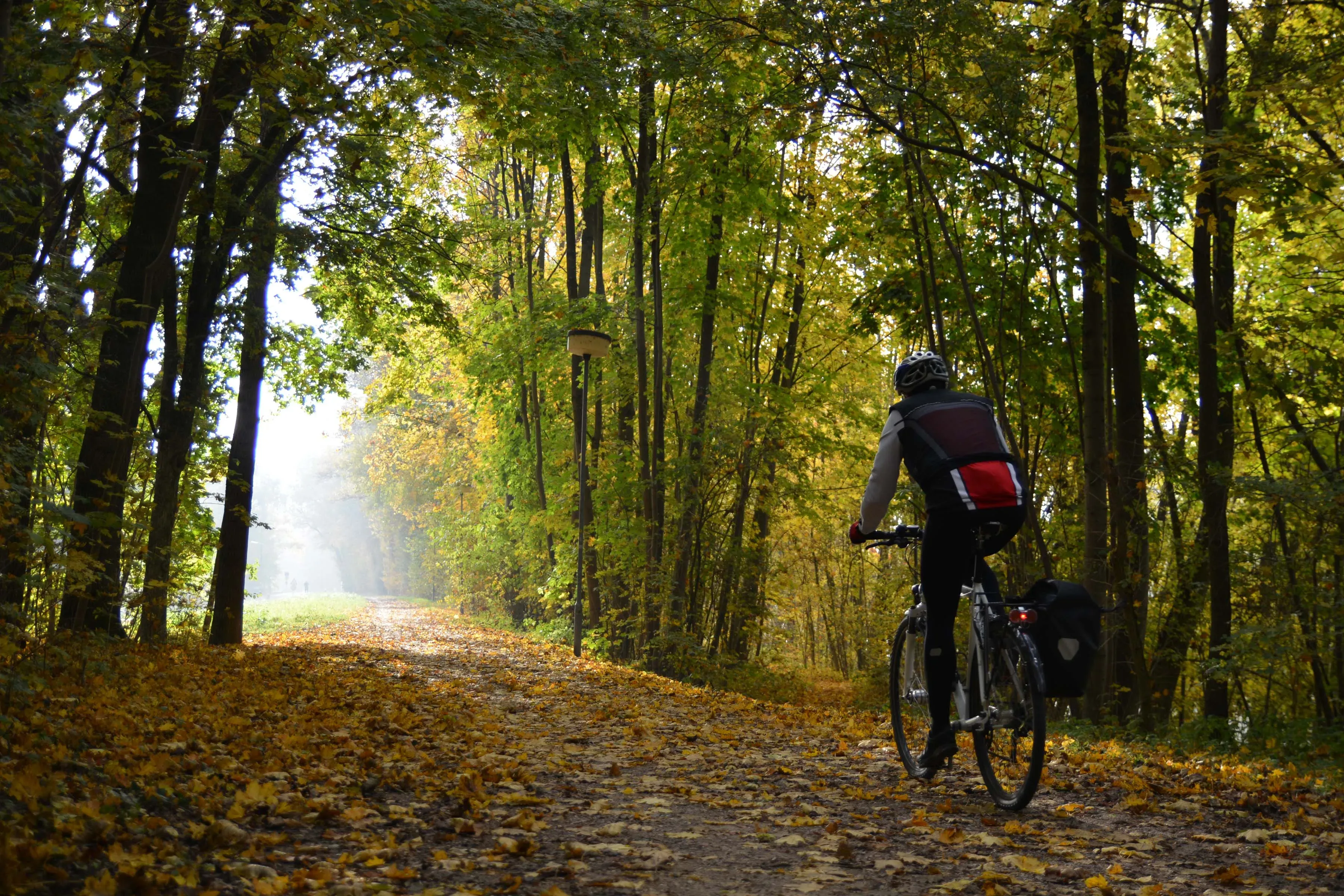 Impression 3 für Nachbericht Der Donauradweg