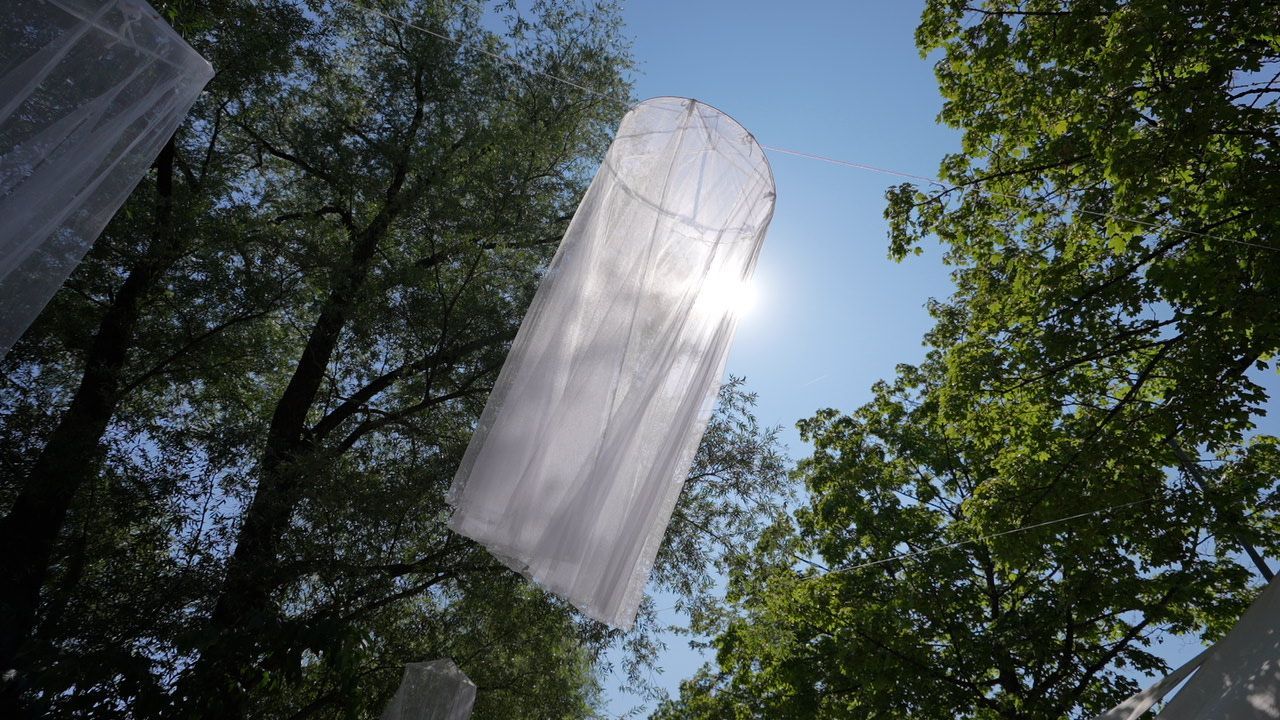 Hero Image for Geheimtipps & Hidden Places