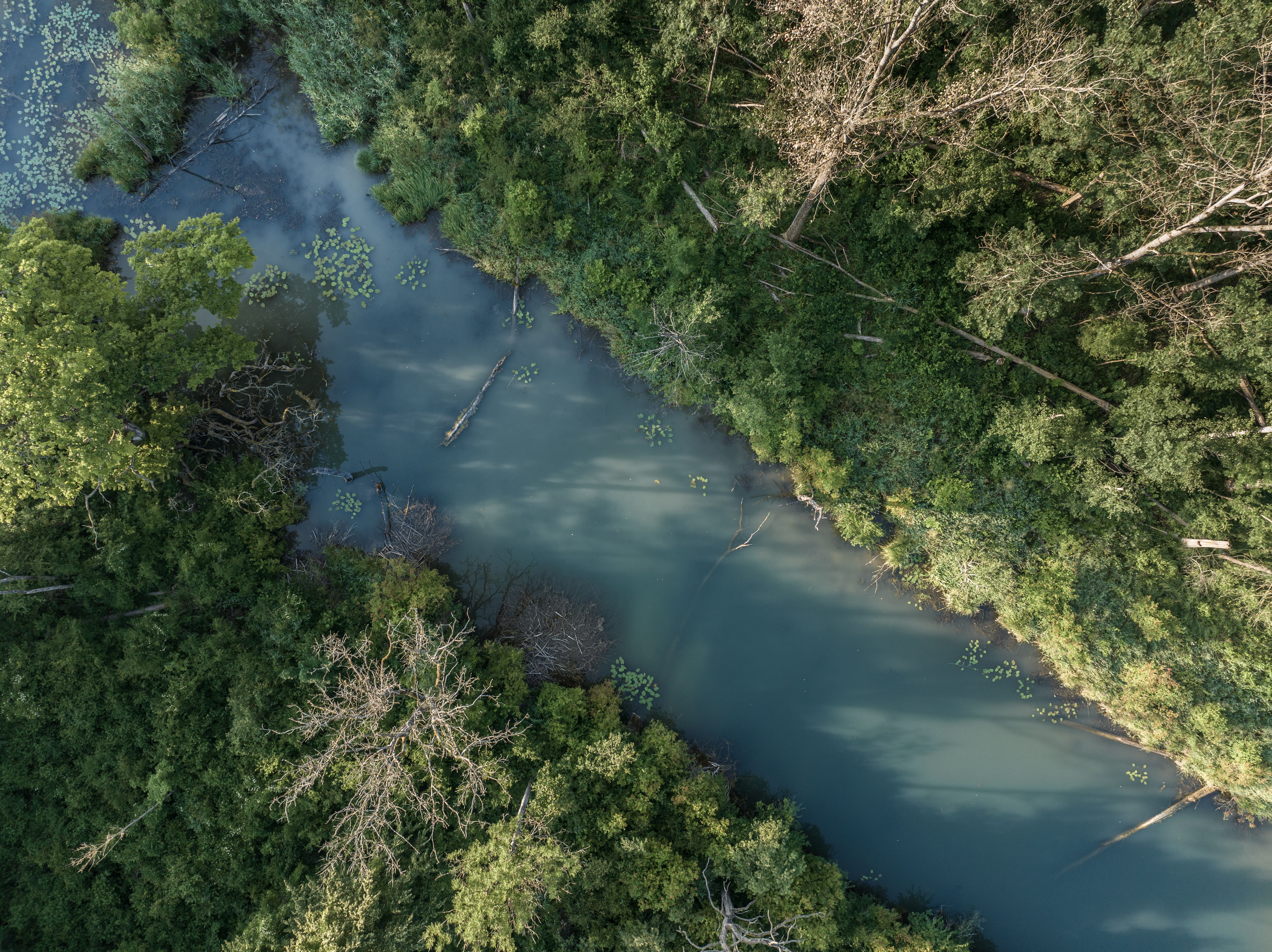 Drohnenfoto Ausgleichsfläche Flusslandschaft