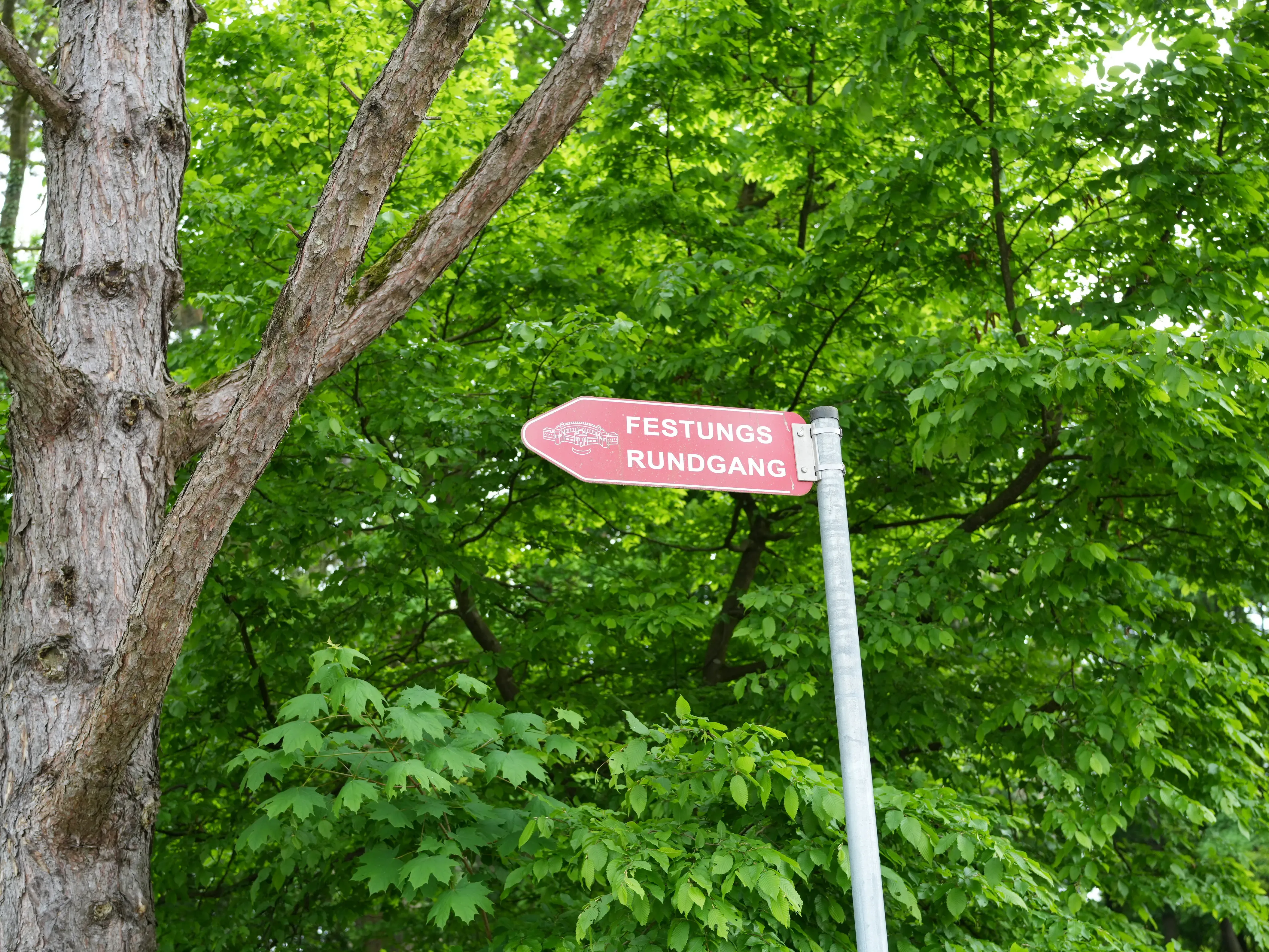 Image for Festungsrundgang