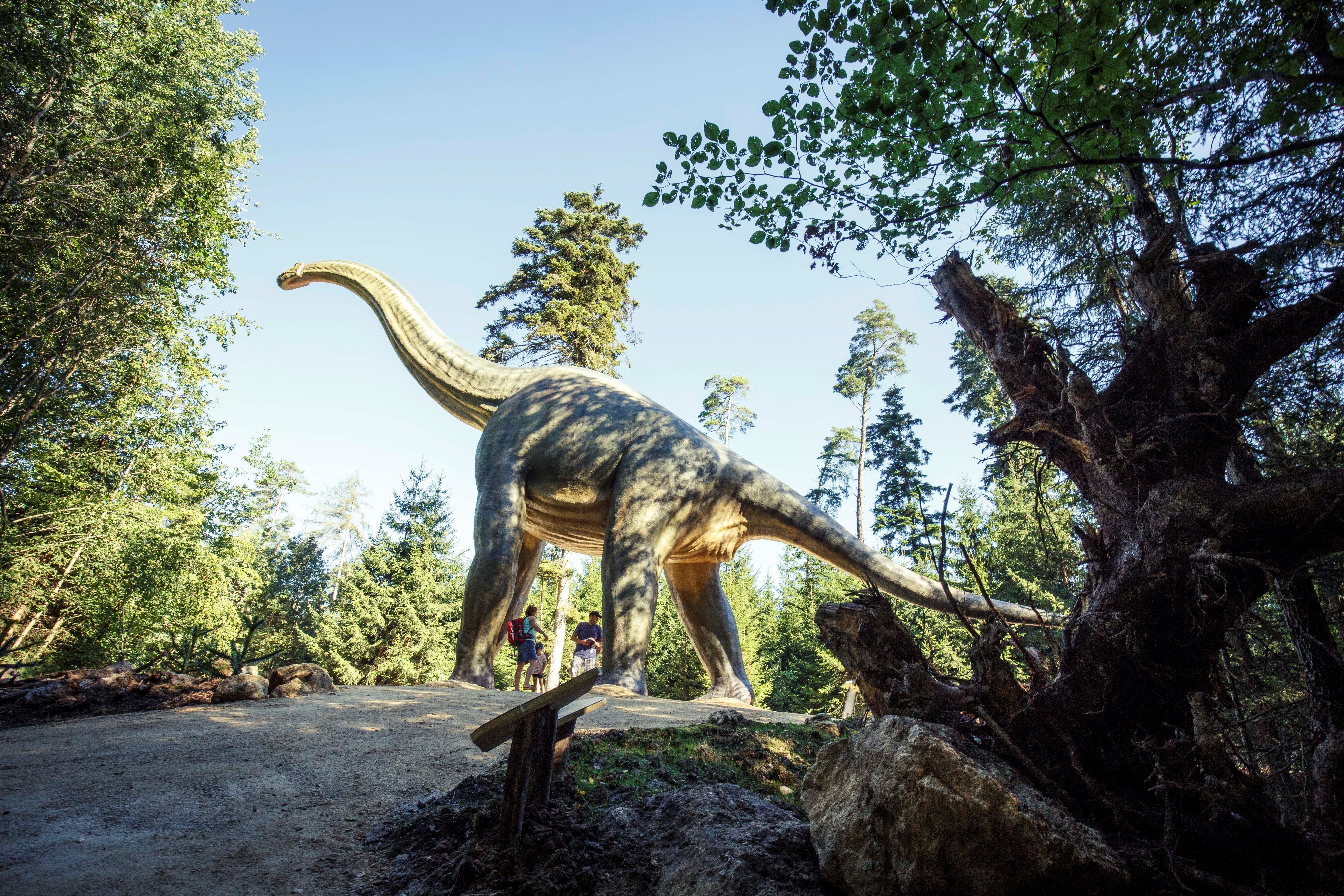Image for Dinopark Denkendorf