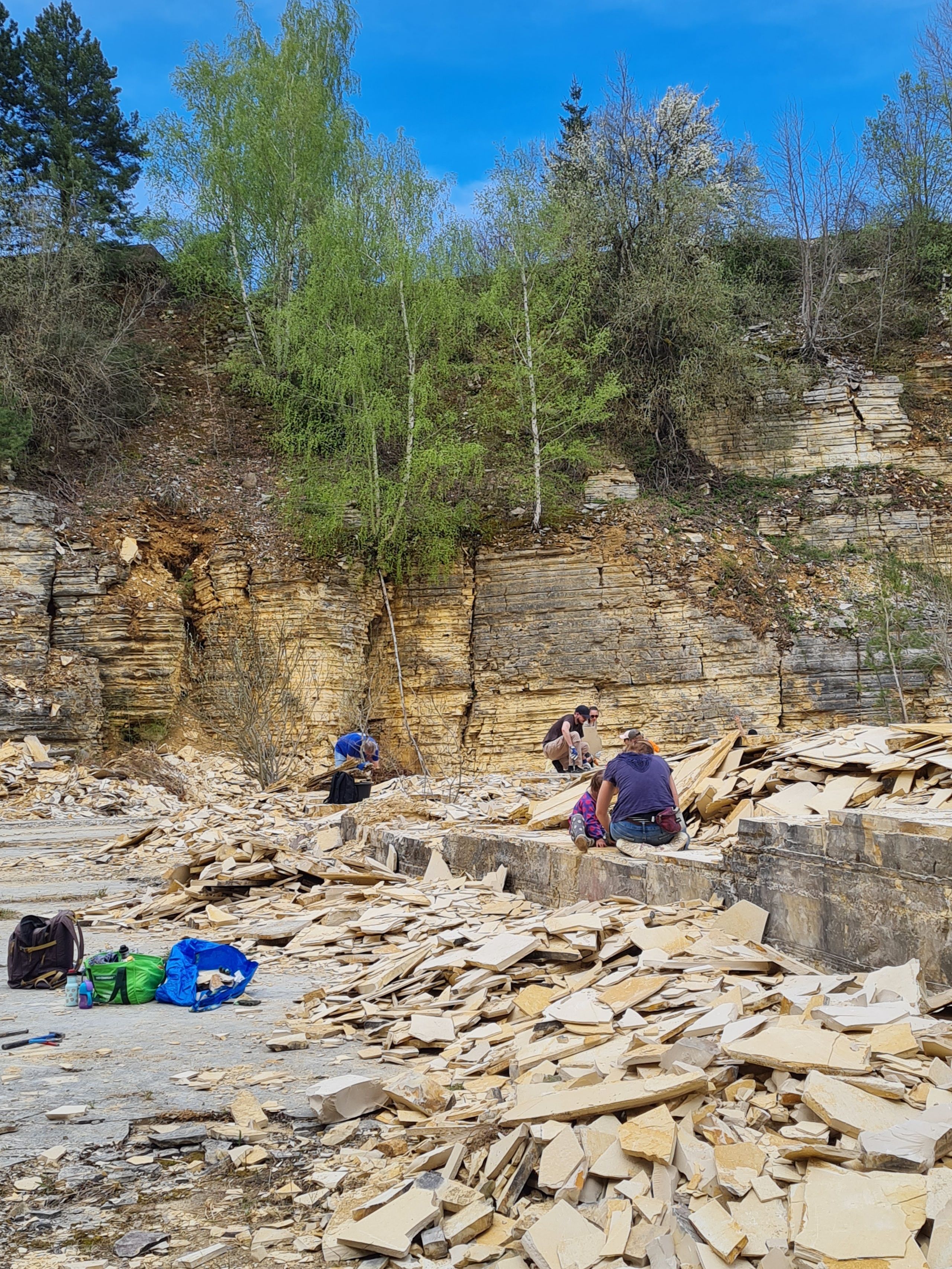 Image for Fossilien klopfen in Solnhofen