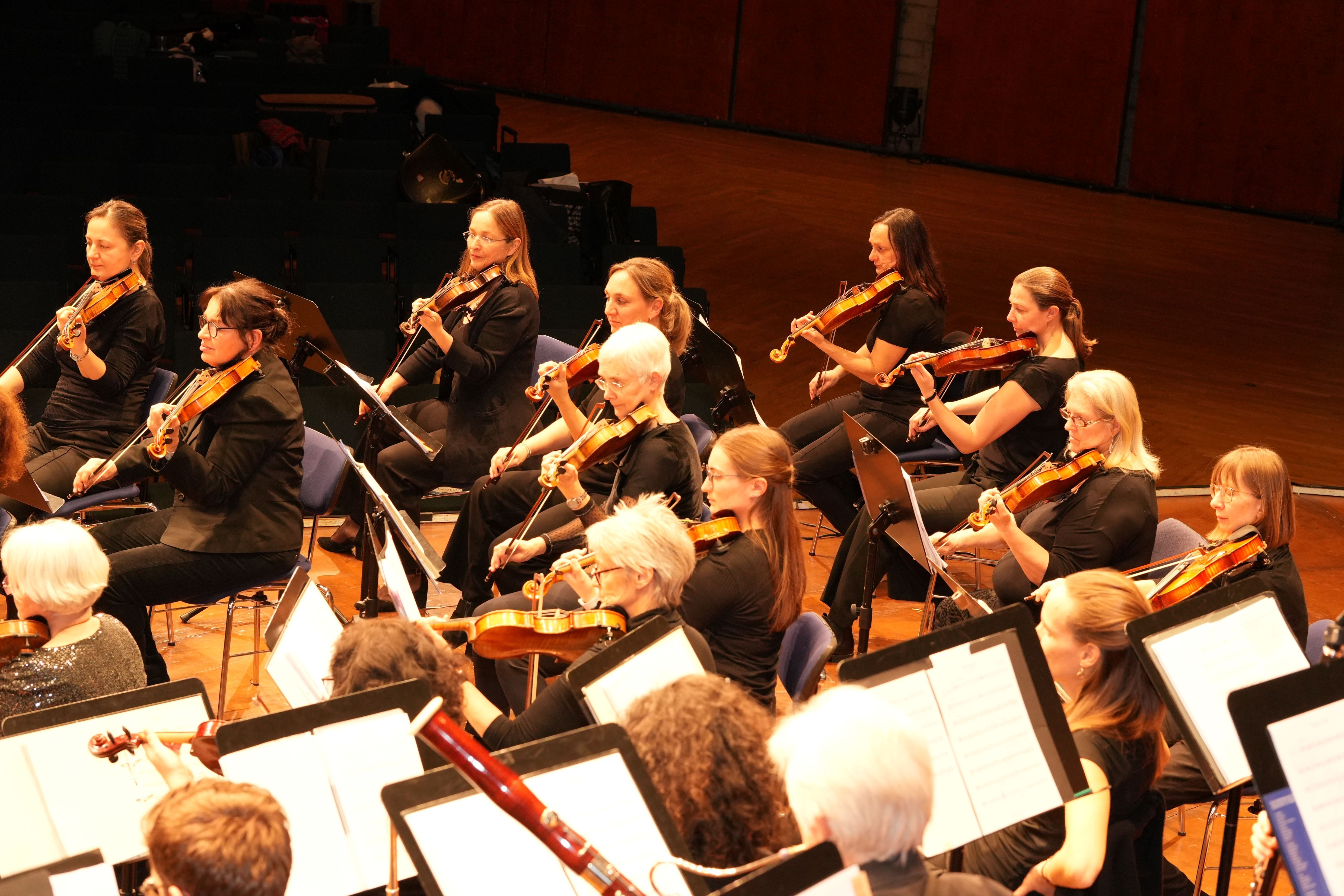 Image for Symphonisches Salonorchester