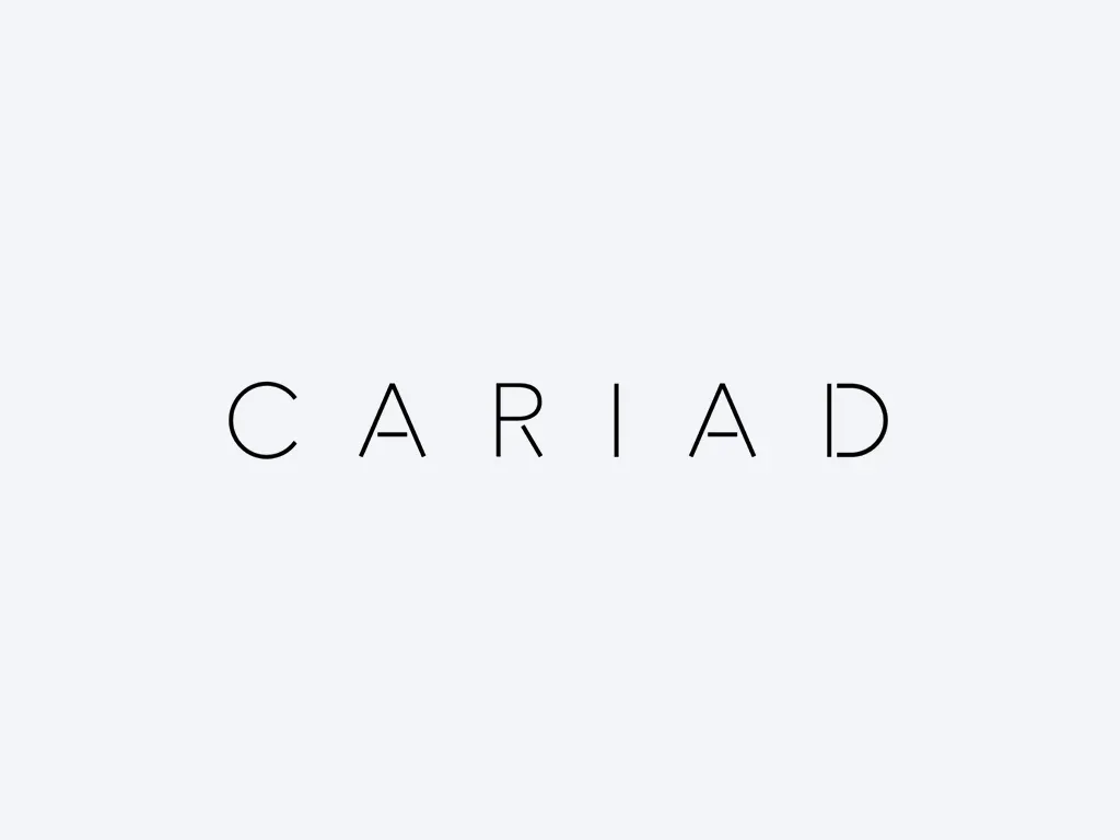 Image for CARIAD