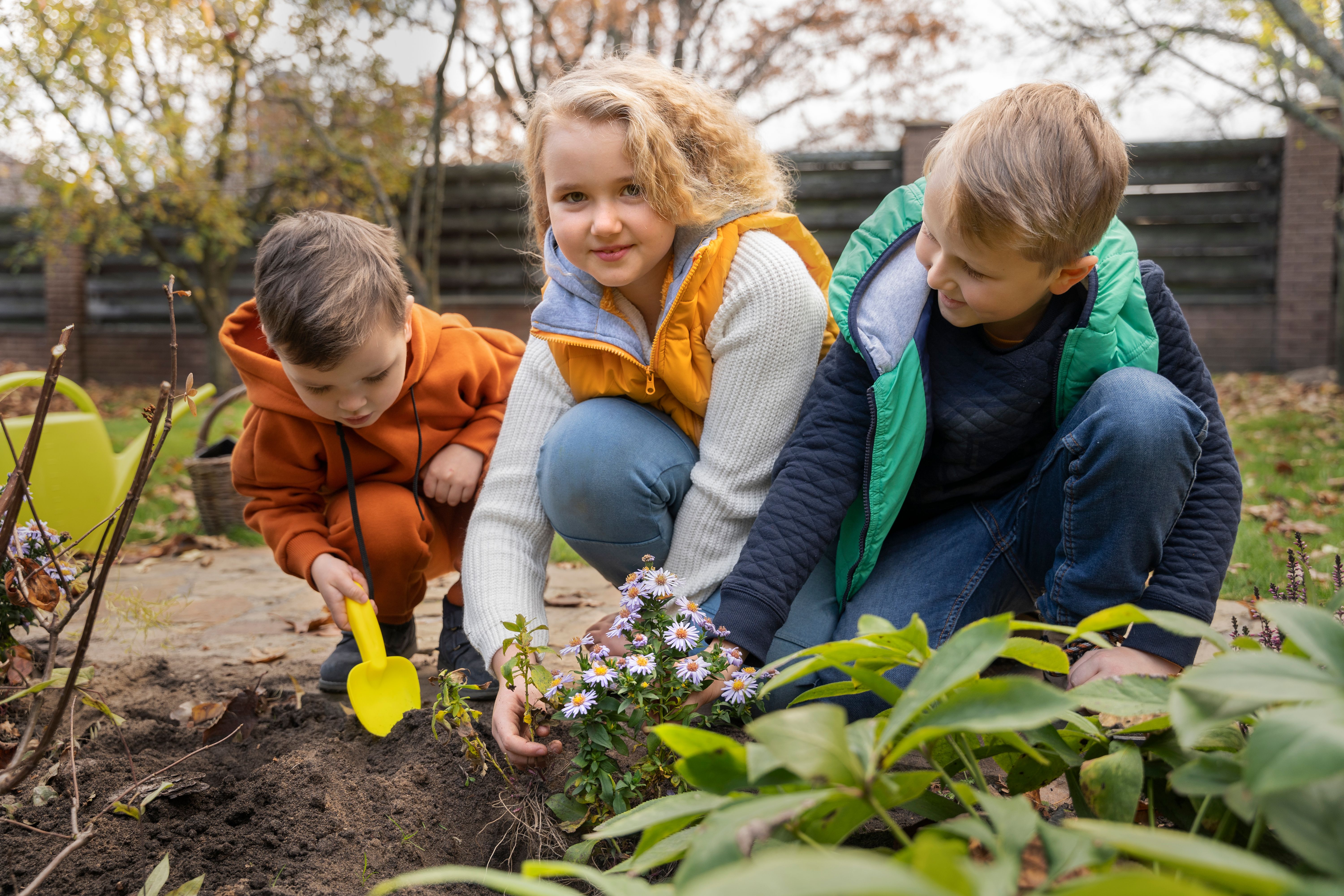 Image for Transition Town Gemeinschaftsgarten