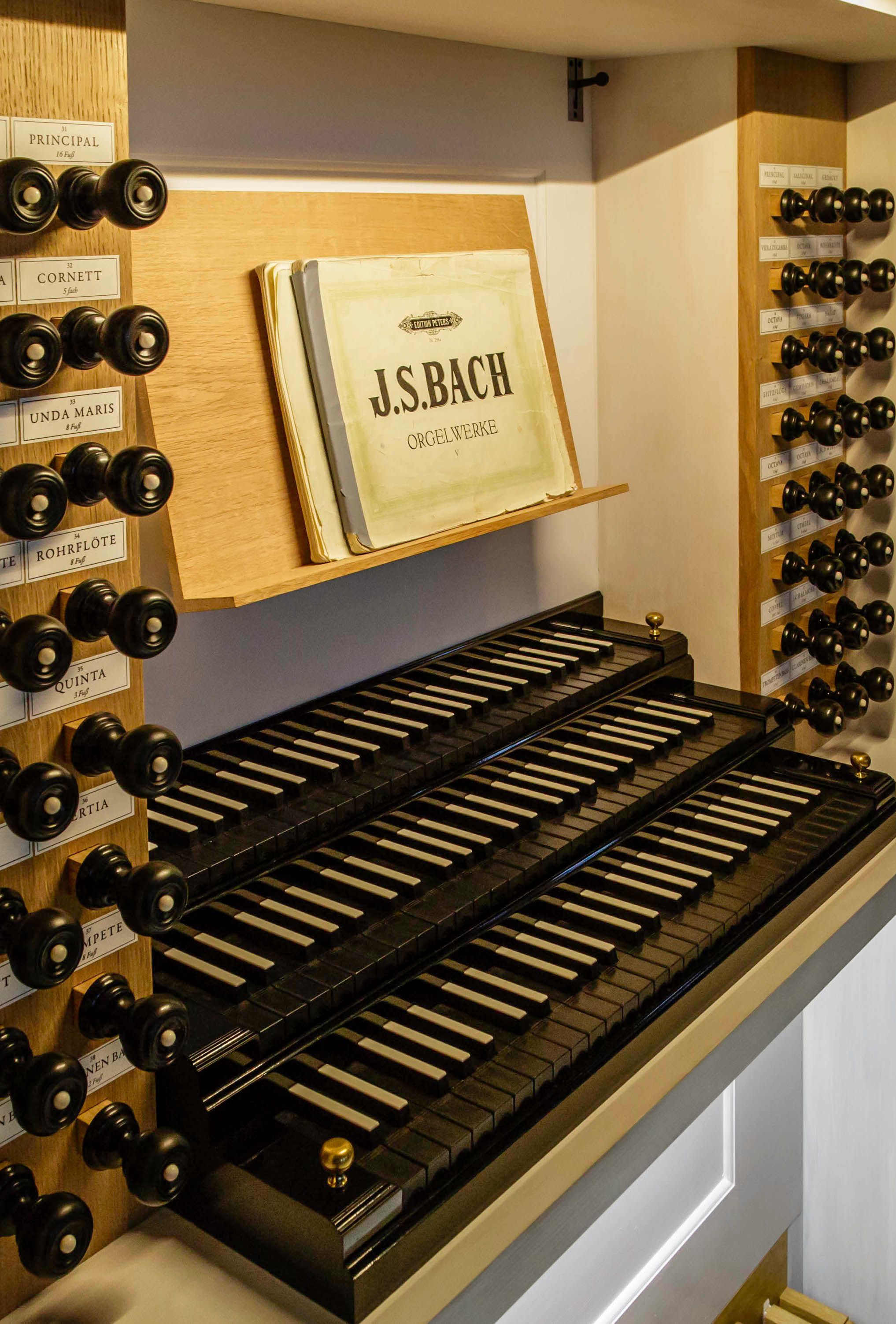 Image for Content Block with title: Orgelführungen