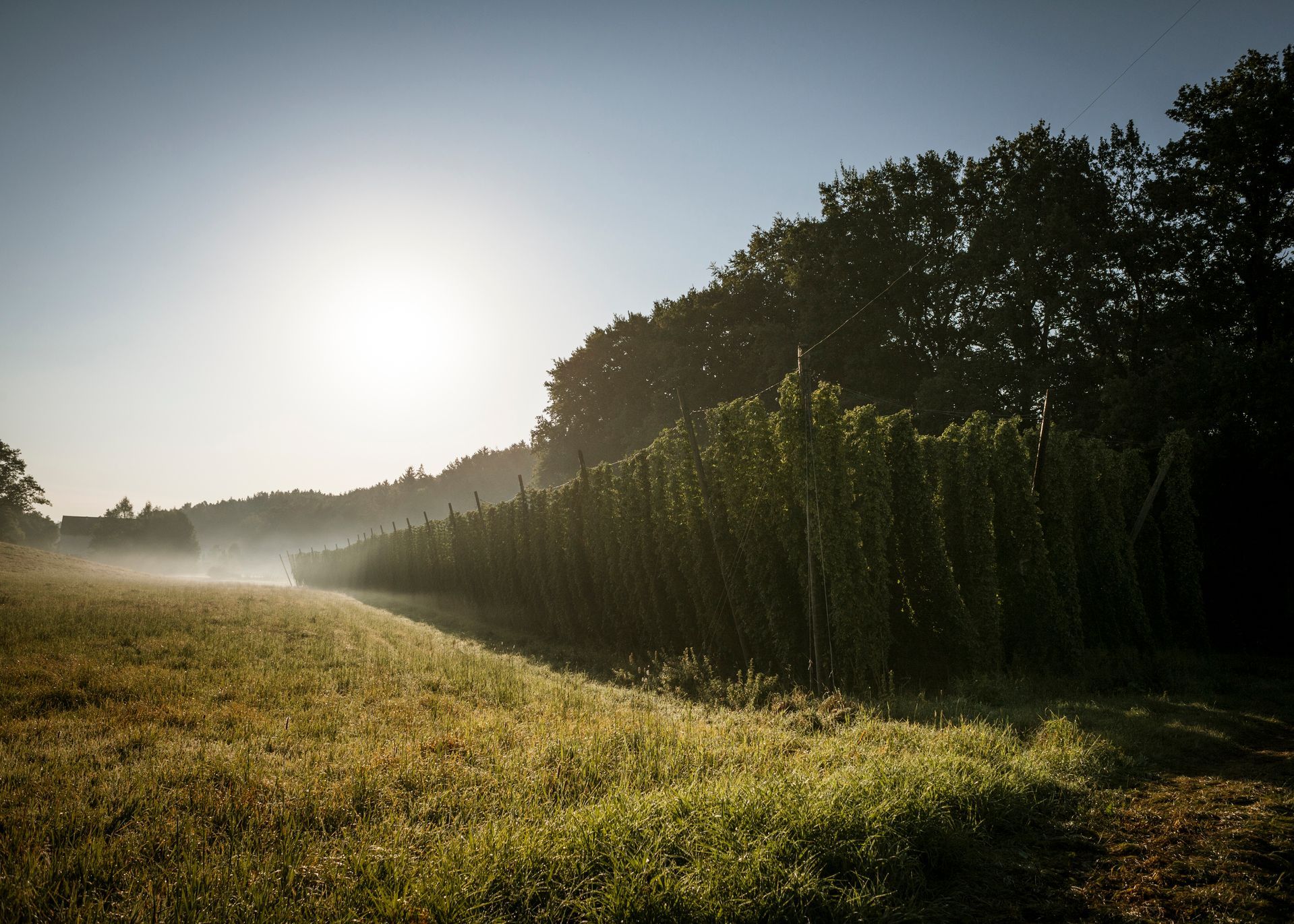 Image for KUS Pfaffenhofen