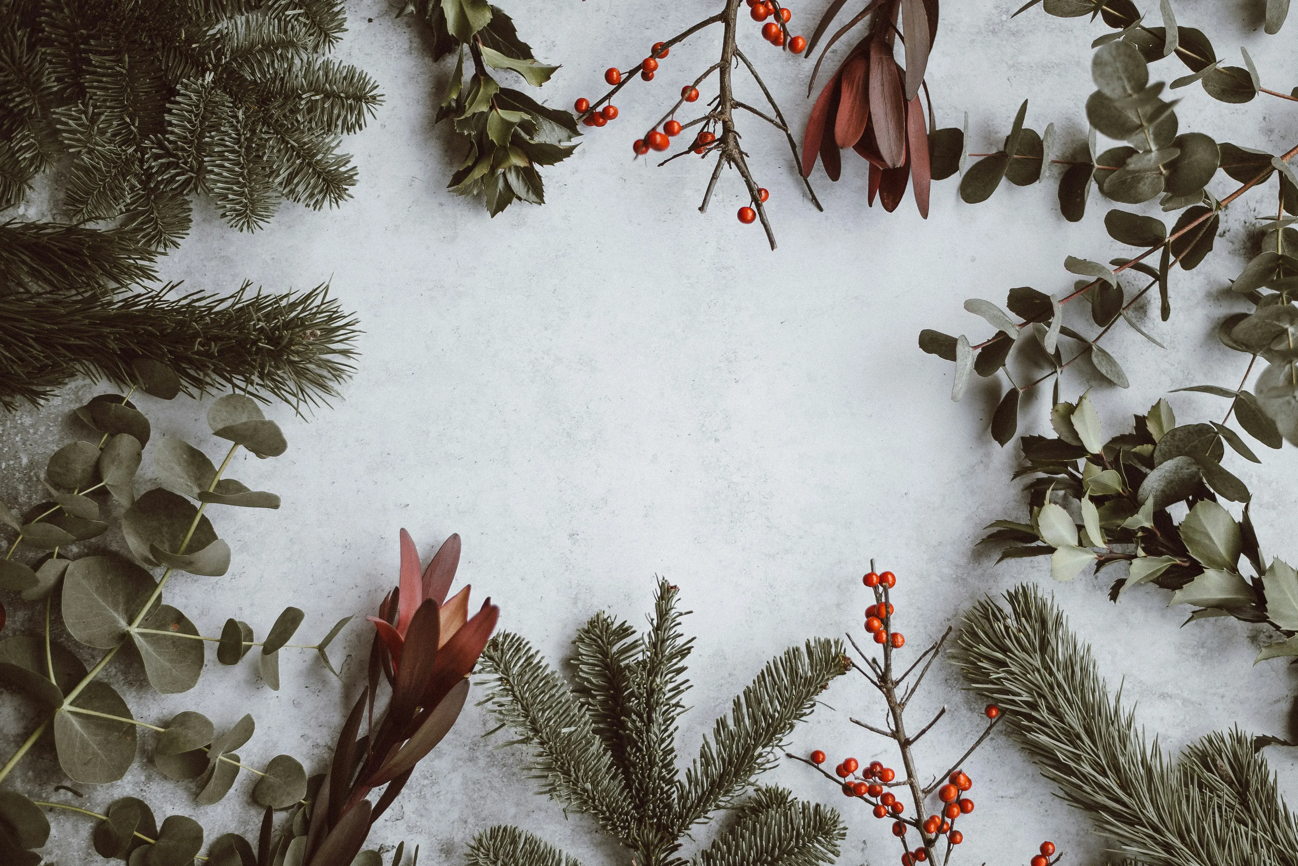 A border of festive greenery, including pine needles, eucalyptus leaves, and red berries, frames a light grey background.