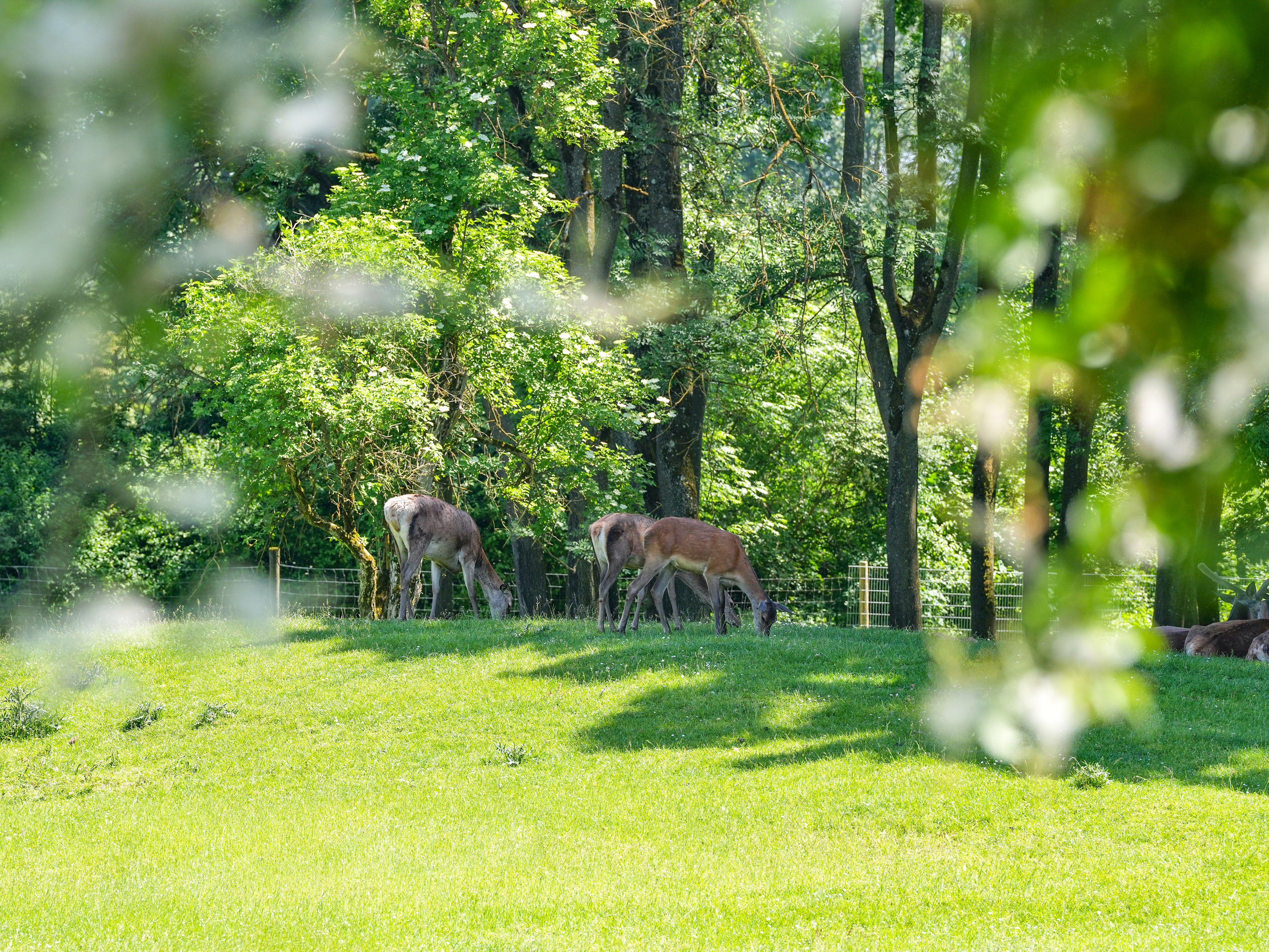 Topic section Image for Natur pur