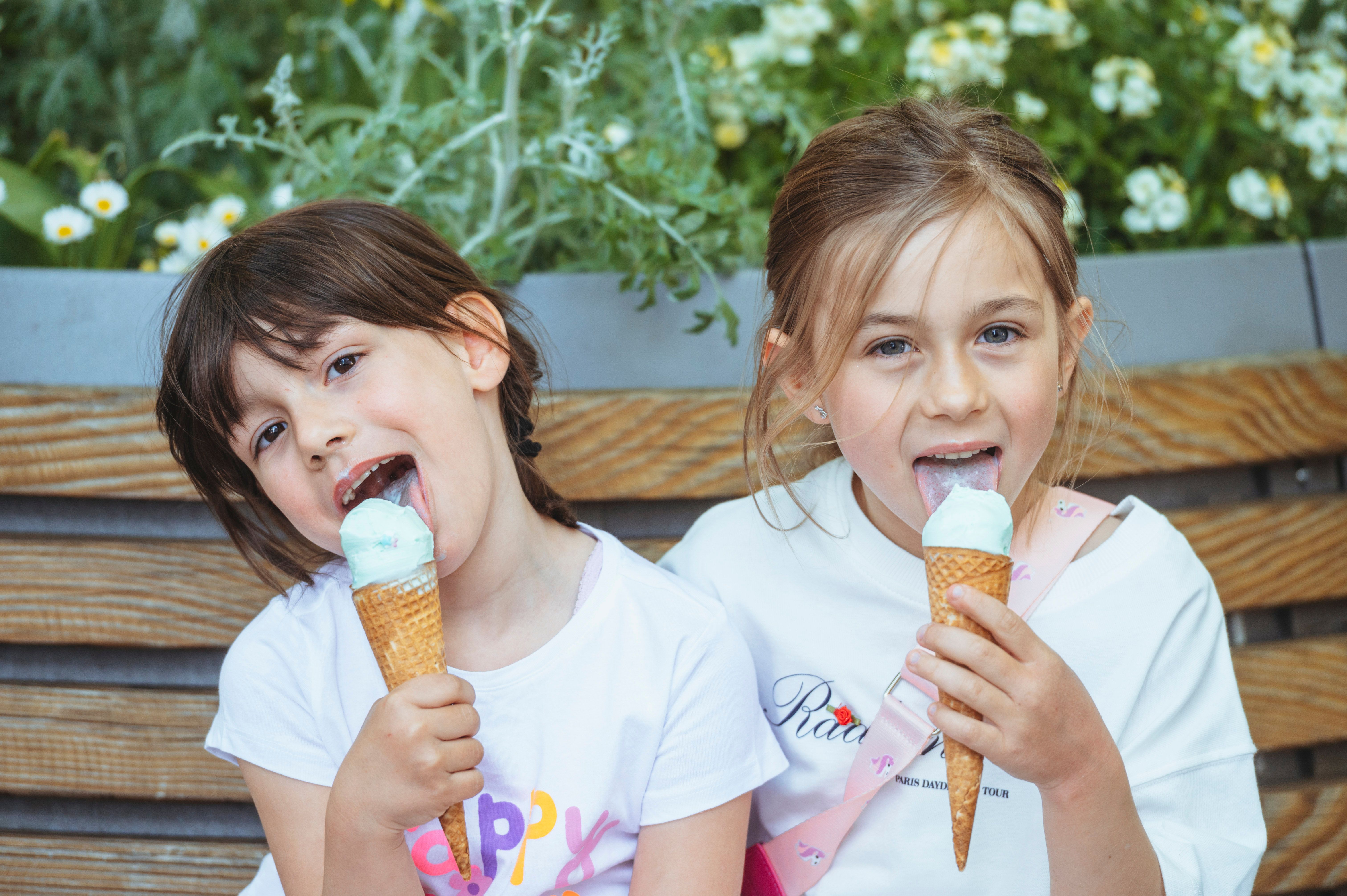 Image for Die nördliche Altstadt