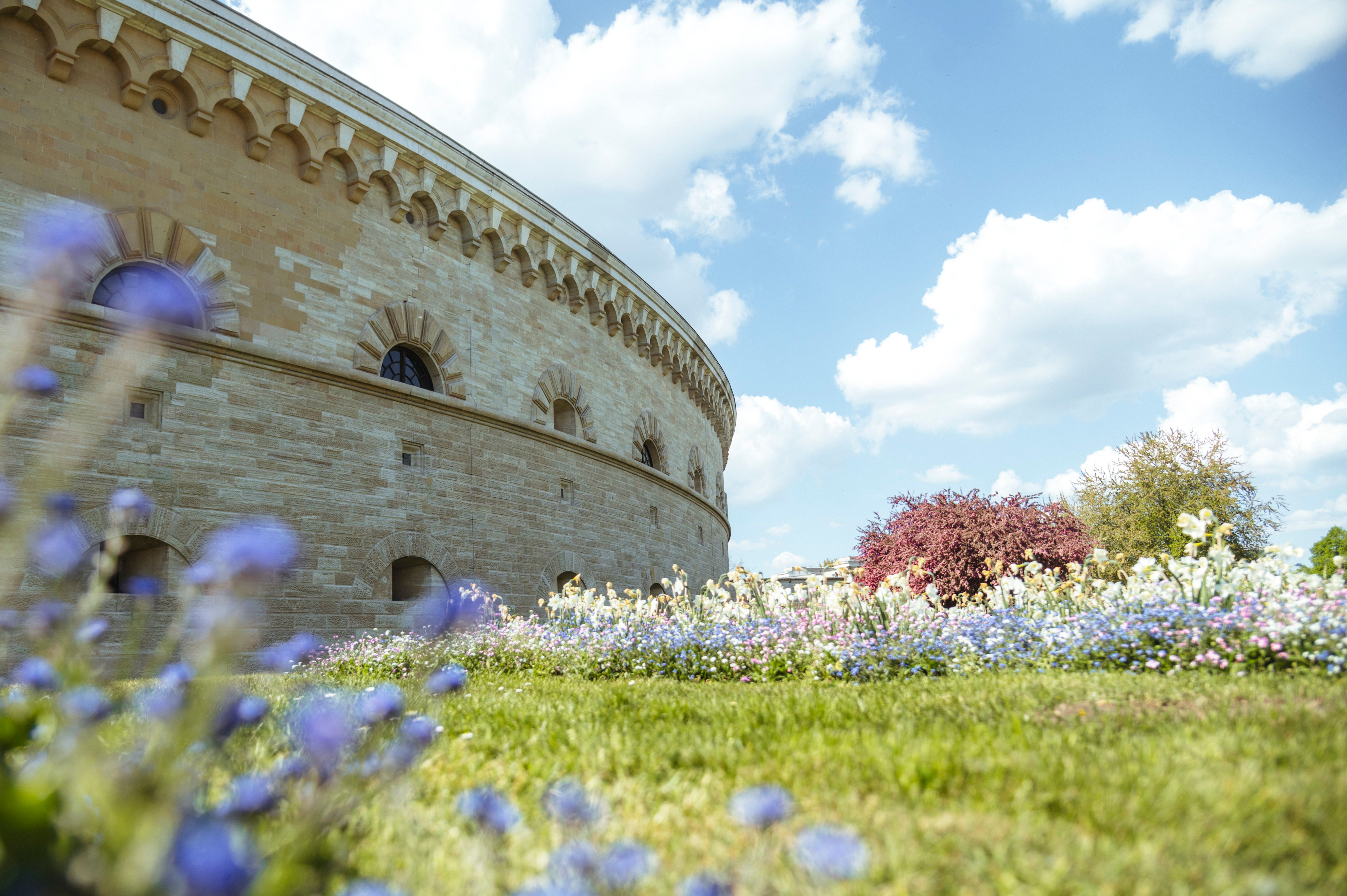 Hero Image - ILive Ingolstadt